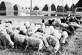 LURRALDEAREN ANTOLAMENDUA