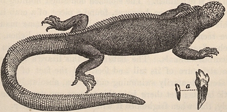 Journal of Researches