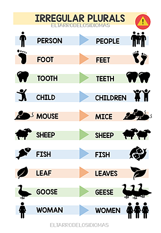 Irregular Plurals