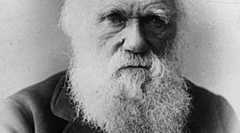 Timeline: Charles Darwin February 12, 1809- April 19, 1882