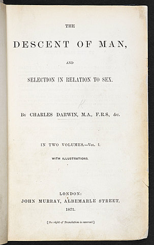 The Descent of Man