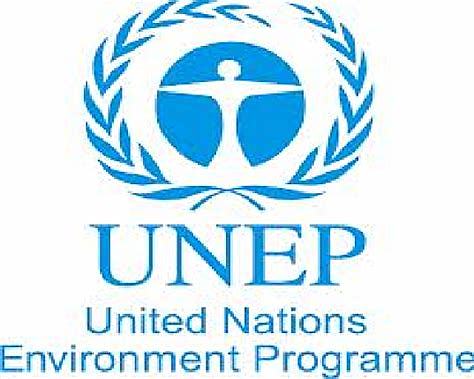 UNEP gets involved