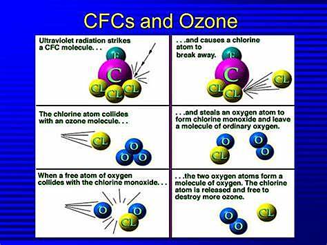 UNEP and WMO get together to study Ozone depletion