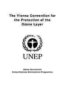 A Coordinating Committee is Set Up