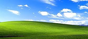 Windows XP, Microsoft