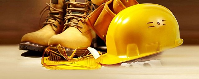 Seguro de vida colectivo para el personal humano