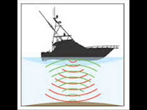 Se detectan los Primeros Barcos