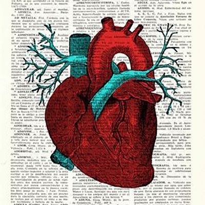 Timeline: Evolución Epistemológica de la Salud