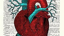 Timeline: Evolución Epistemológica de la Salud