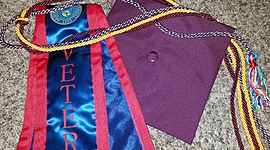 Timeline: LifeMap SWG 502