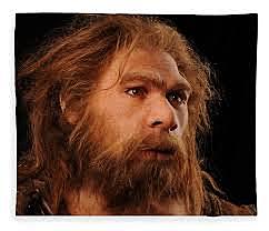 homo neanderthalensis
