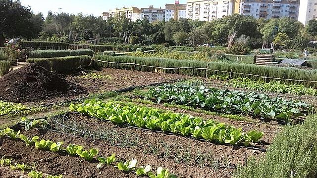 fuimos al laboratorio y después al huerto