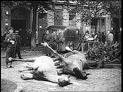 Nazi Germany Invaded Poland