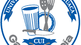 Timeline: Universad de Ixtlahuaca CUI; Gamaliel Celis Lopéz y Emmanuel Alfredo Santamaría; Tendencias en la Gatronomia y su Impacto en el Turismo; Tribus Urbanas.