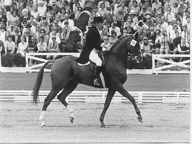 Lorna Johnstone. Equitación.