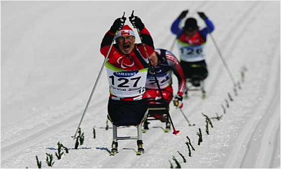 Juegos Paralímpicos de invierno