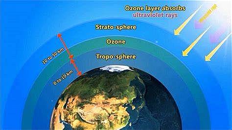 Study on the Ozone
