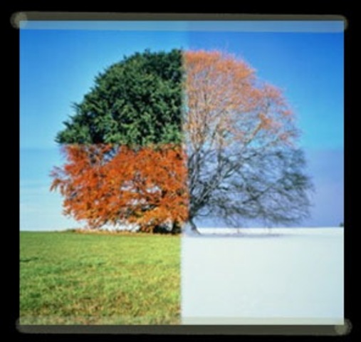 "Four stations" of vivaldi