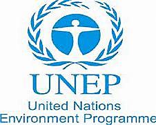 UNEP
