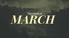 Timeline: 03/25/19