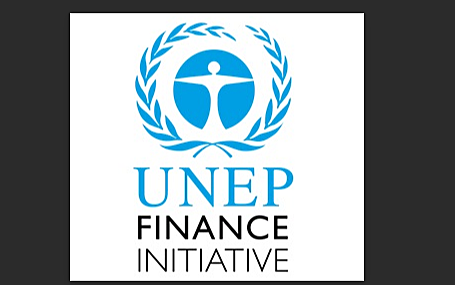 United Nations Environment Programme Sets Up committee