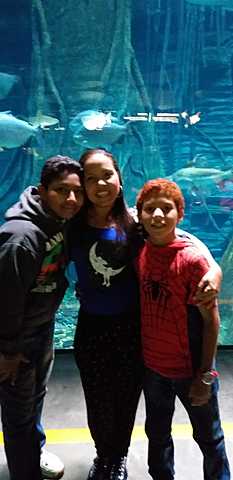 Aprendiendo de la naturaleza