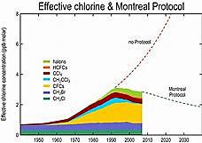The Montreal Protocol on Substances that Deplete the Ozone Layer