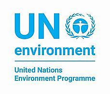 The UNEP committee