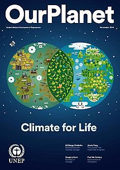 People begin studying the ozone layer.