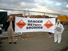 Controls on Methyl Bromide