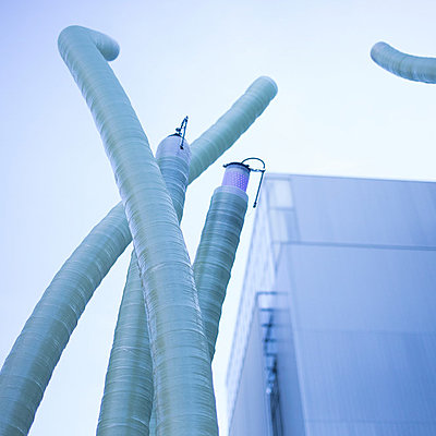 Timeline: Tectónicas biobóticas