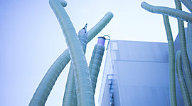 Timeline: Tectónicas biobóticas