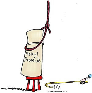 Licensing for the import and export of CFCs came to be.