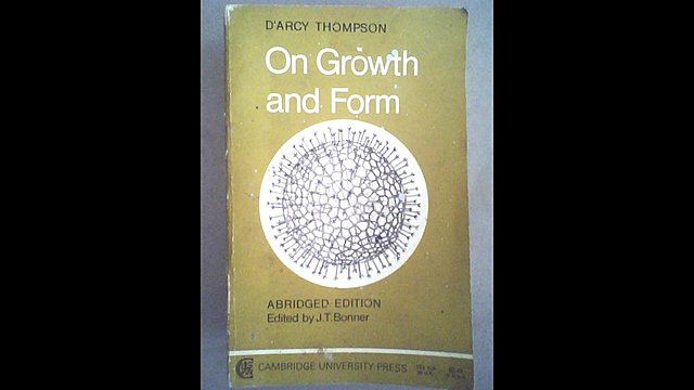 On growth and form