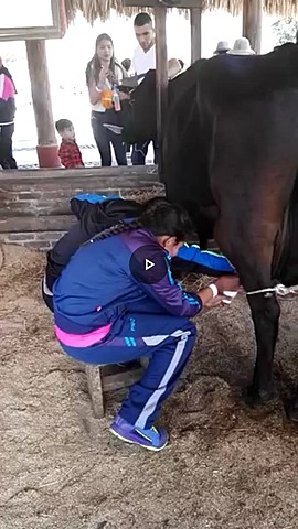 PRACTICANDO EL ORDEÑO