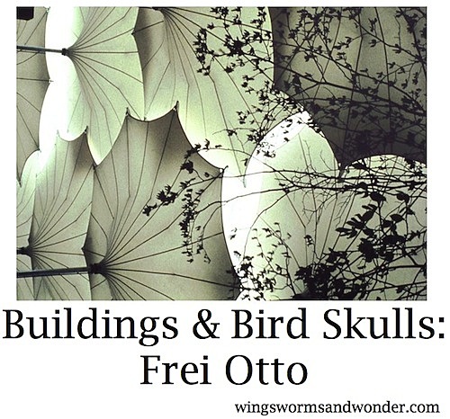 Biology and Building