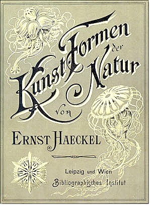 Kunst Formen von der Natur