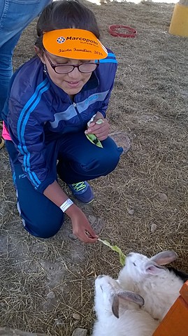 DANDOLE LECHUGA AL CONEJO