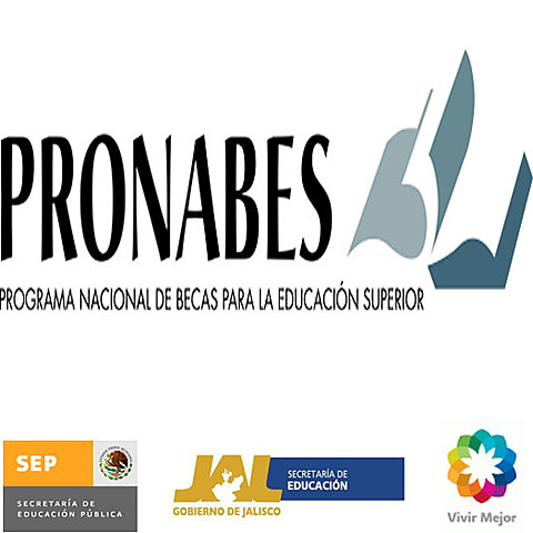 Programa Nacional de Becas y Financiamiento (PRONABES)