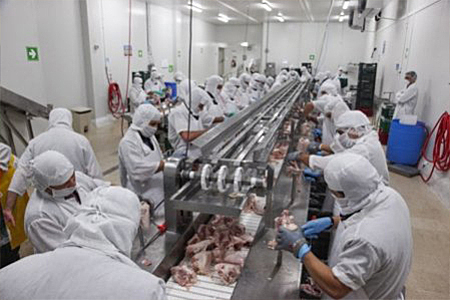 legislación sanitaria para la industria.