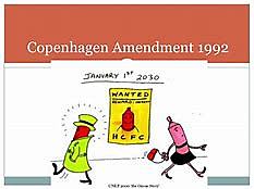 Copenhagen Amendment