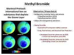 Industrialized Countries Agree To Phase Out Methyl Bromide