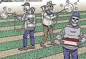 Copenhagen Amendment