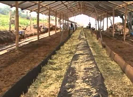 Sociedad Reyes González & Hermanos