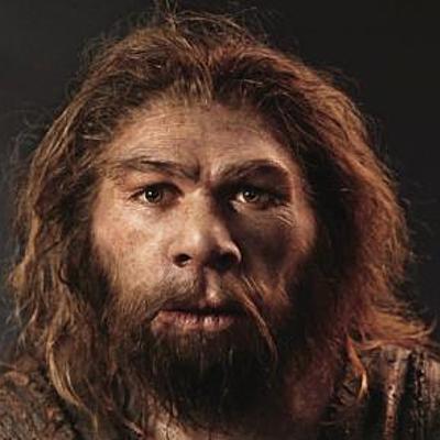 Timeline: Evolucio humana