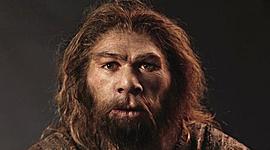 Timeline: Evolucio humana