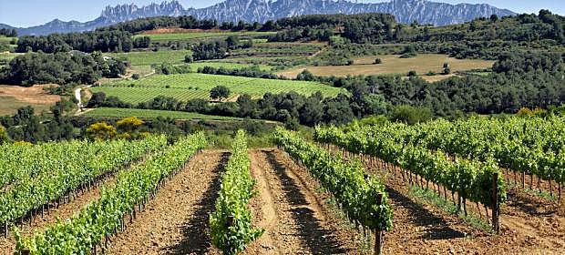 L’Infant Joan ven a l’Abat de Sant Cugat el mer i mixt imperi (jurisdicció civil i criminal) dels castells i llocs de Sant Vicenç de Calders, el Vendrell, Santa Oliva, Albinyana i Bonastre.