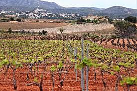 Conflicte per la possessió del castell de Calafell entre el Monestir de Sant Cugat i la família Castelle