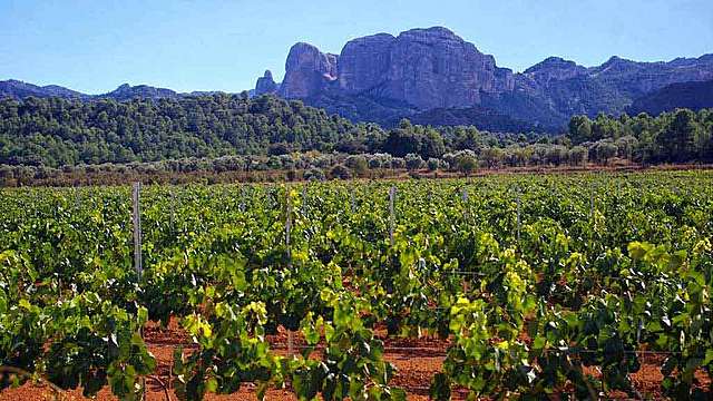 castell de santa oliva
