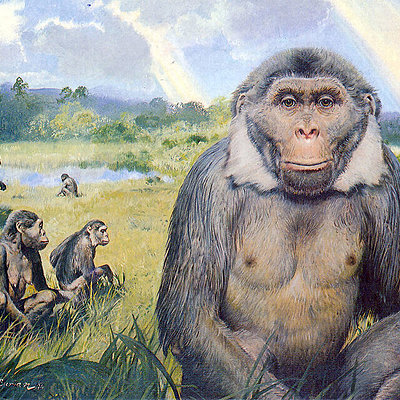 Timeline: Антропогенез